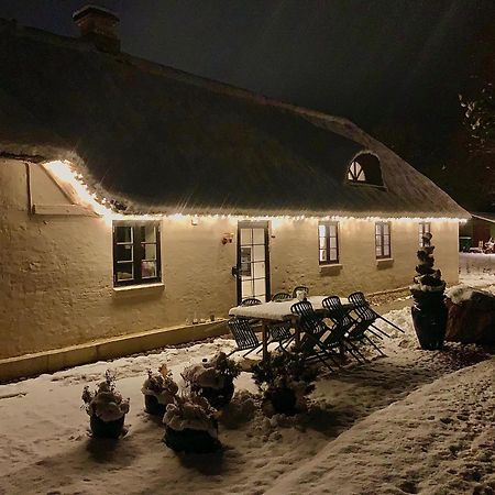 Mindedalen - Idyl Taet Pa Alt Og Helt I Fred Apartment Billum Bagian luar foto