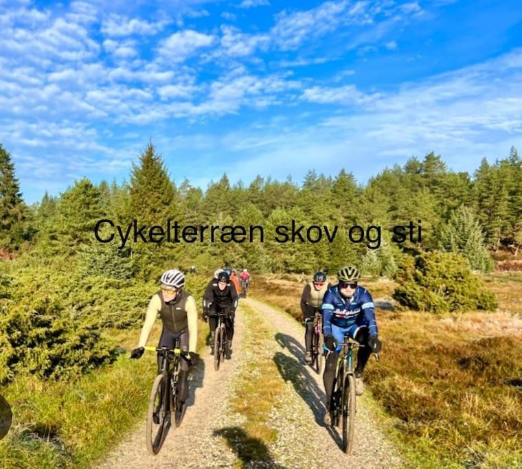 Mindedalen - Idyl Taet Pa Alt Og Helt I Fred Apartment Billum Bagian luar foto
