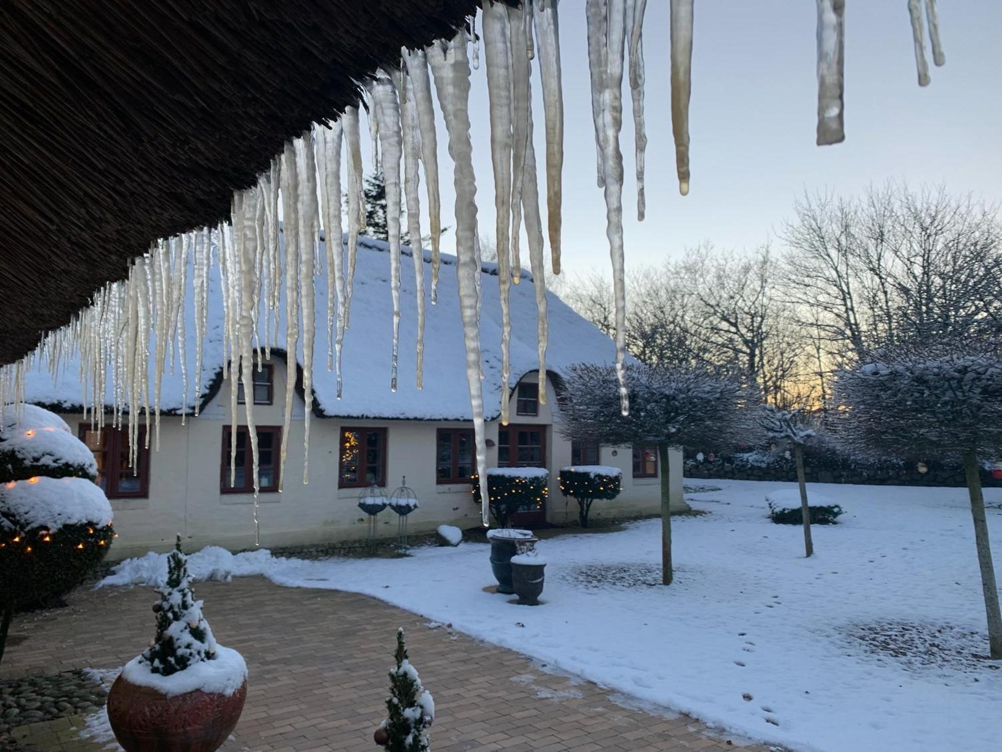 Mindedalen - Idyl Taet Pa Alt Og Helt I Fred Apartment Billum Bagian luar foto