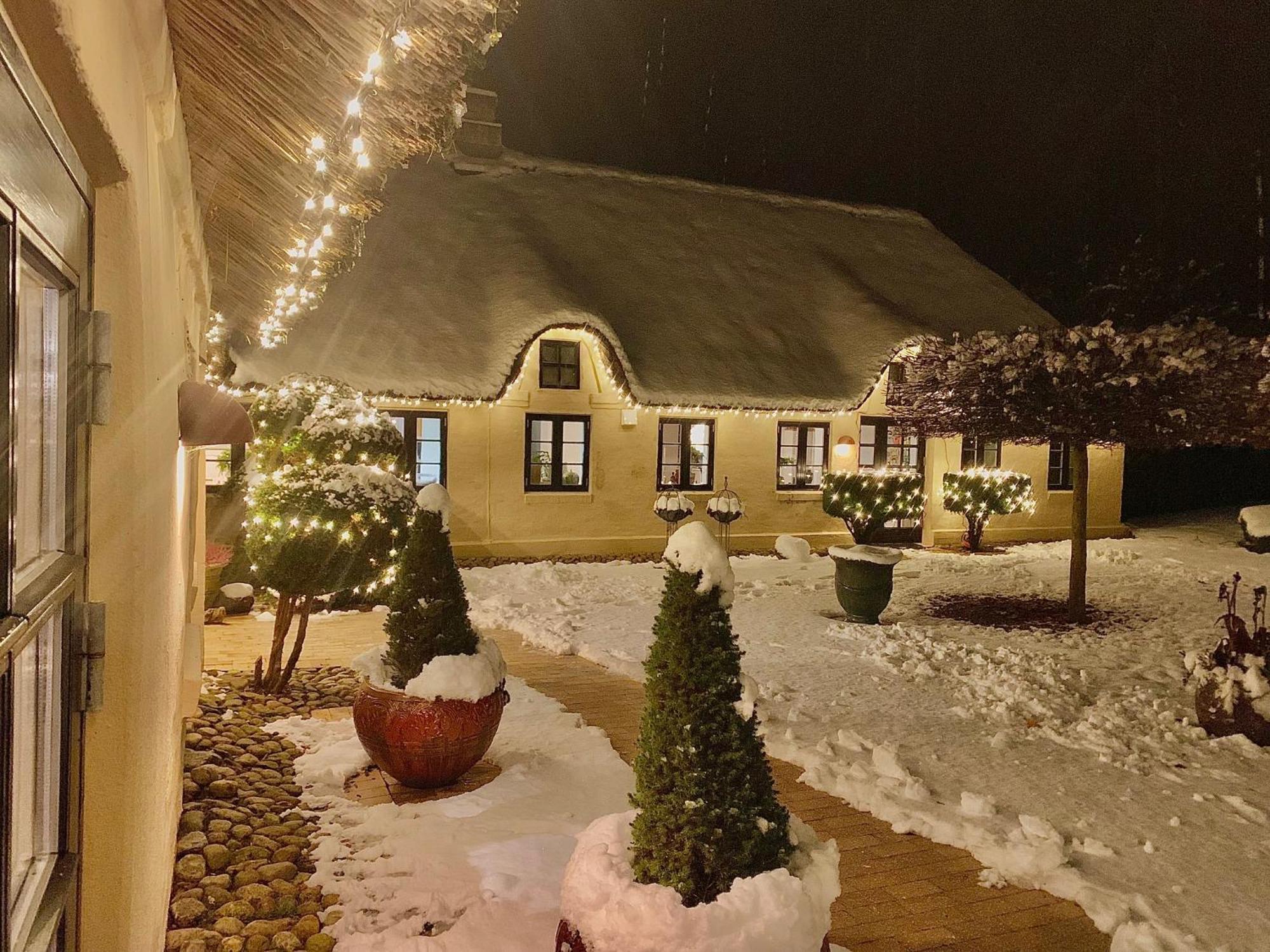 Mindedalen - Idyl Taet Pa Alt Og Helt I Fred Apartment Billum Bagian luar foto