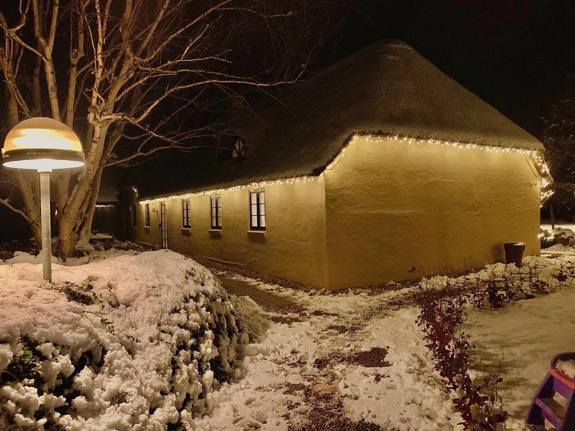 Mindedalen - Idyl Taet Pa Alt Og Helt I Fred Apartment Billum Bagian luar foto